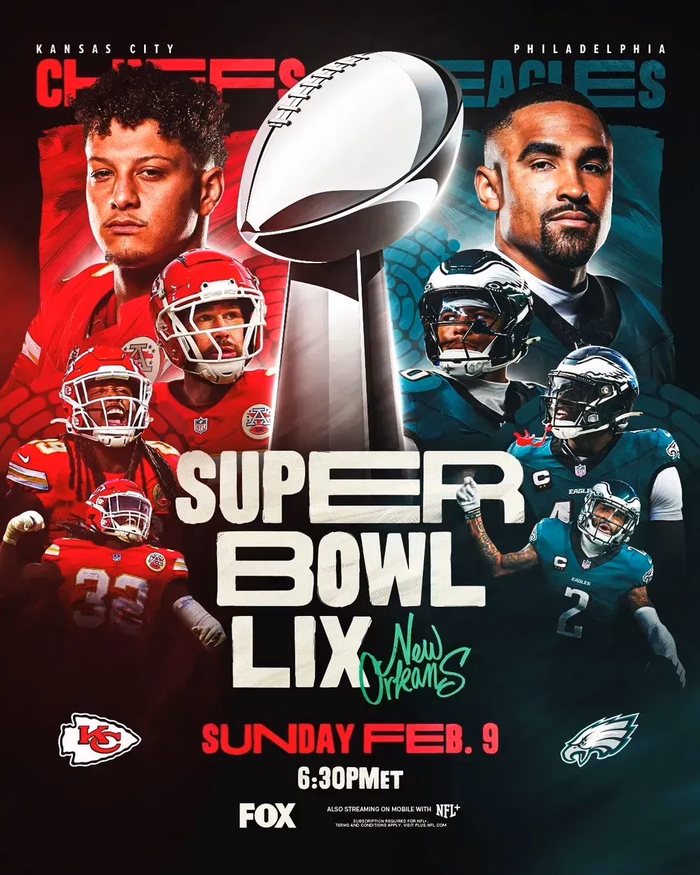 제 59회 슈퍼볼 © NFL